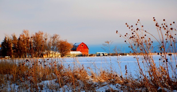 Winter Red Barn